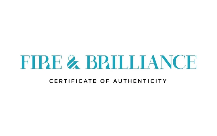 Earrings Fire Brilliance Certified OMC Cushion Fire Brilliance Loose Moissanite Stone 200 Carats G Color VVS1 Clarity