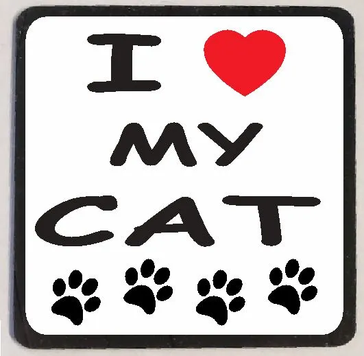 M128 I Love My Cat Iris Fashion Jewelry Earrings