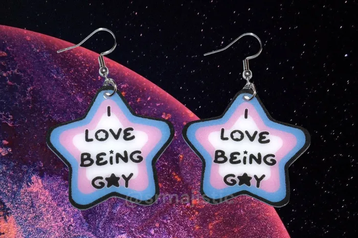 Sam Makes Things Earrings READY TO SHIP I Love Being Gay Various Pride Star Handmade Earrings