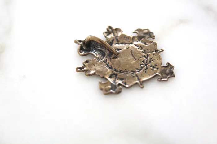 The Little Catholic Necklaces Sacred Heart Shield Pendant