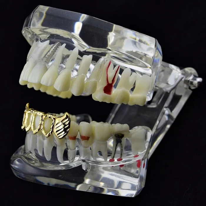 14K Gold Plated Four Open DiamondCut Bottom Fang Grillz Bling Cartel Admin Rings