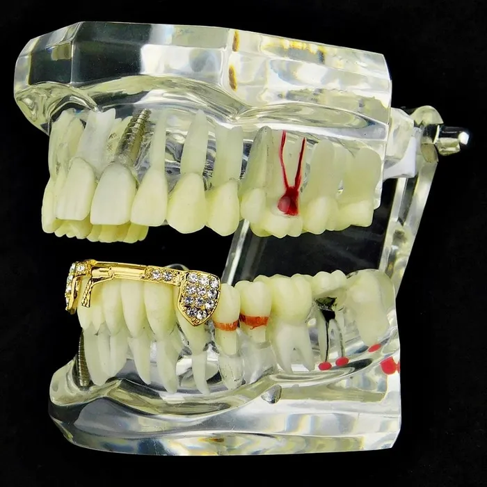 Bling Cartel Admin PreStyled Sets 14K Gold Plated Iced Gun Pistol Bottom Teeth Grillz