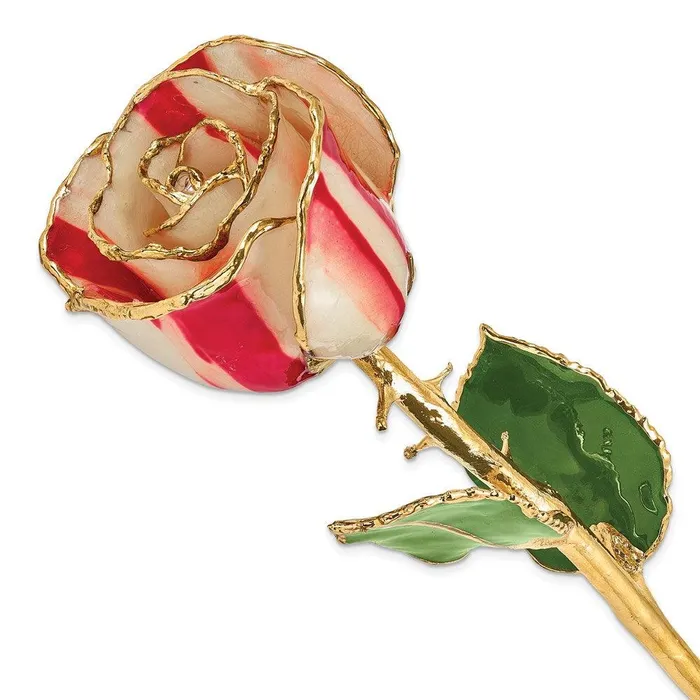Earrings Lacquer Dipped Gold Trim Peppermint Rose Jewelry
