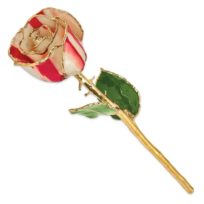 Earrings Lacquer Dipped Gold Trim Peppermint Rose Jewelry Earrings Lacquer Dipped Gold Trim Peppermint Rose Jewelry