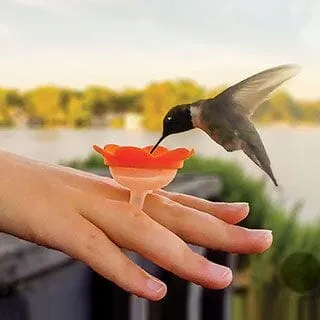 Hummingbird Feeder Ring Gift Essentials Rings