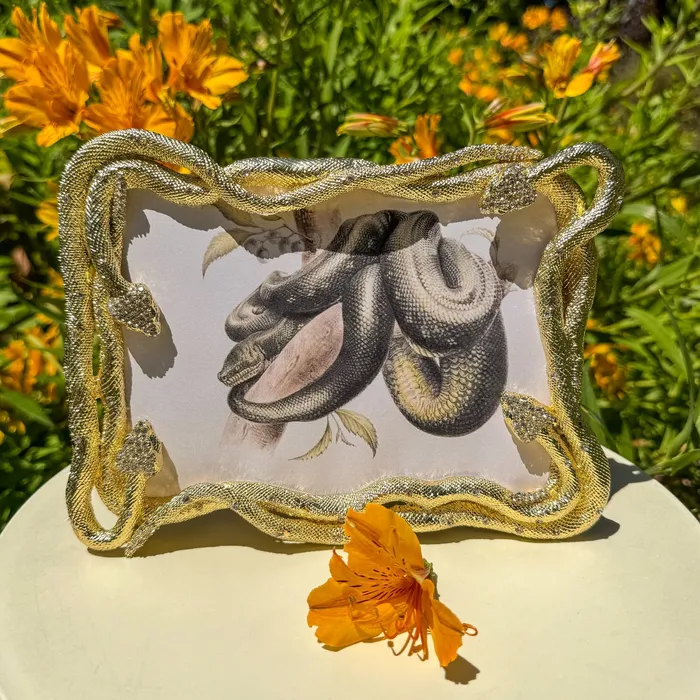Rings Olivia Riegel Olivia Riegel Silver Serpentina 5 x 7 Frame