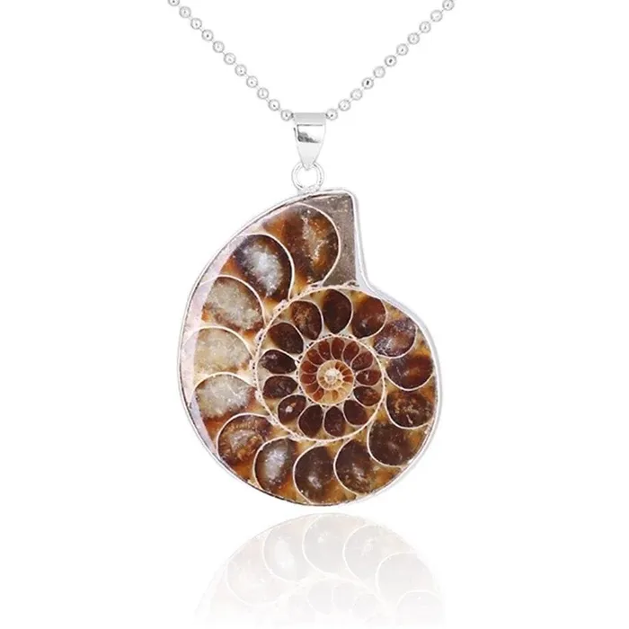 Natural Ammonite Snail Shell Necklace WickedAF Necklaces