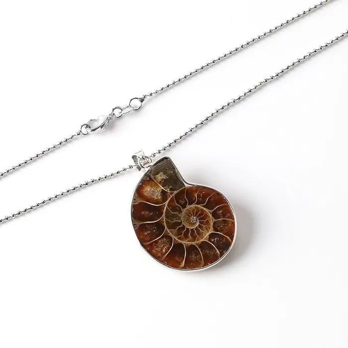 Natural Ammonite Snail Shell Necklace WickedAF Necklaces