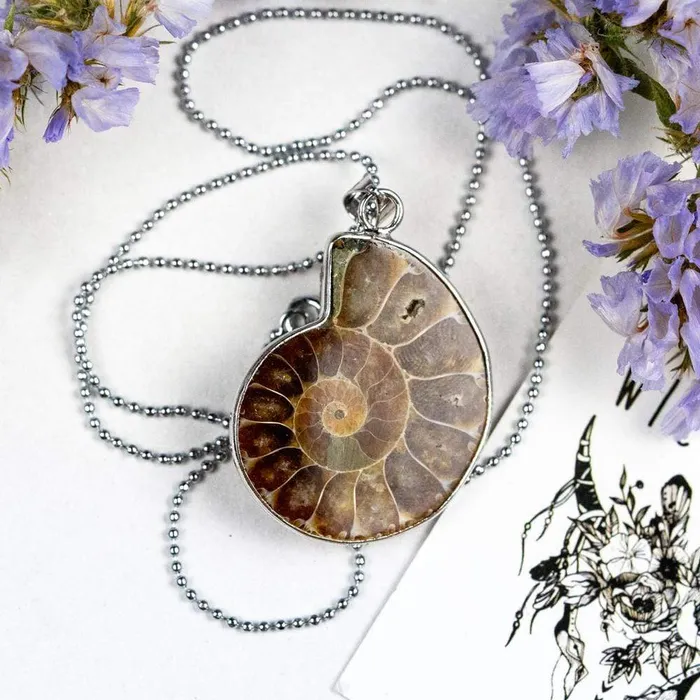 Natural Ammonite Snail Shell Necklace WickedAF Necklaces