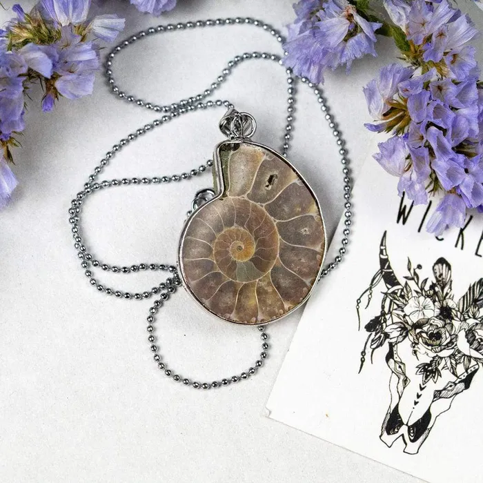 Natural Ammonite Snail Shell Necklace WickedAF Necklaces