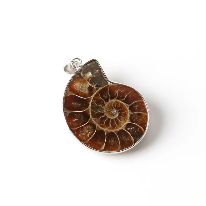 Natural Ammonite Snail Shell Necklace WickedAF Necklaces