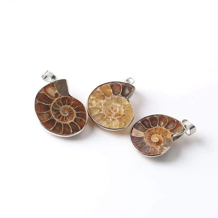 Natural Ammonite Snail Shell Necklace WickedAF Necklaces