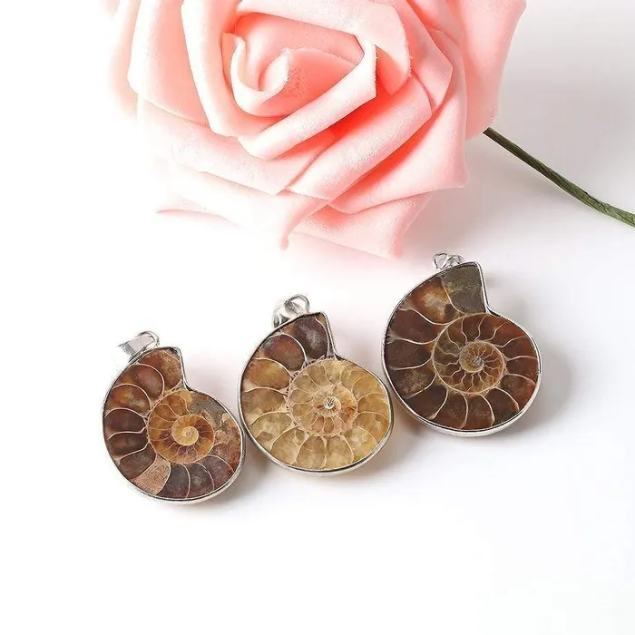 Natural Ammonite Snail Shell Necklace WickedAF Necklaces
