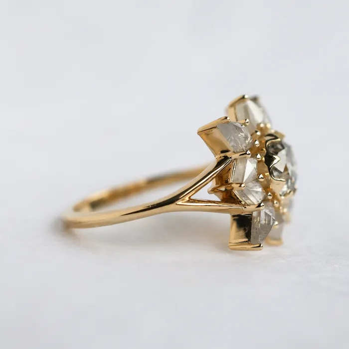 Rings Capucinne Ottilie Round Salt and Pepper Diamond Ring