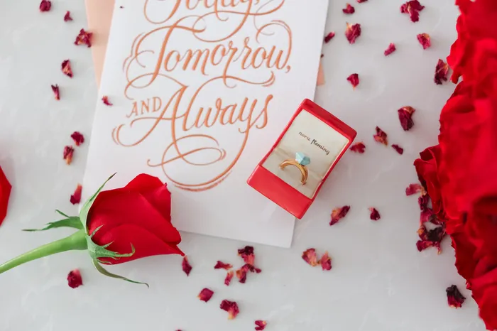 Rings Put A Ring On It Mini by Nora Fleming Nora Fleming